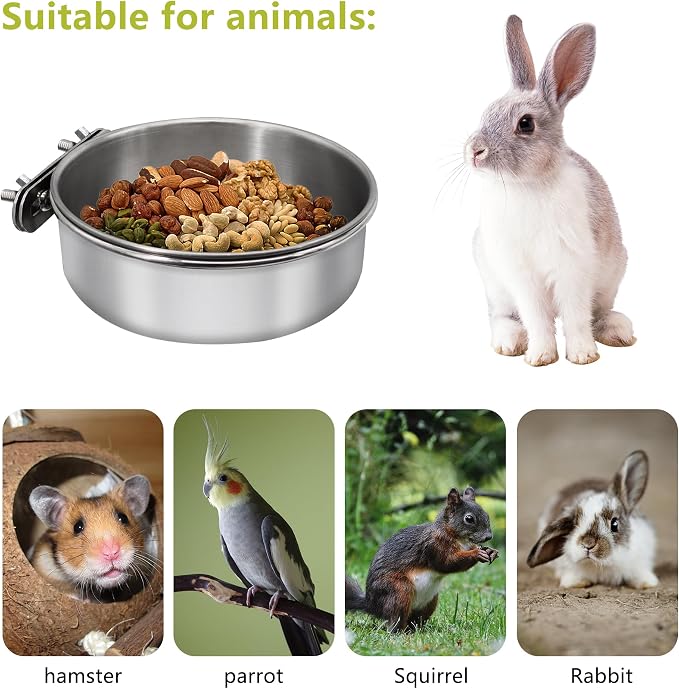 Small+Medium Bird Feeding Dish Cups, Parrot Food Bowl Cage - Image 3