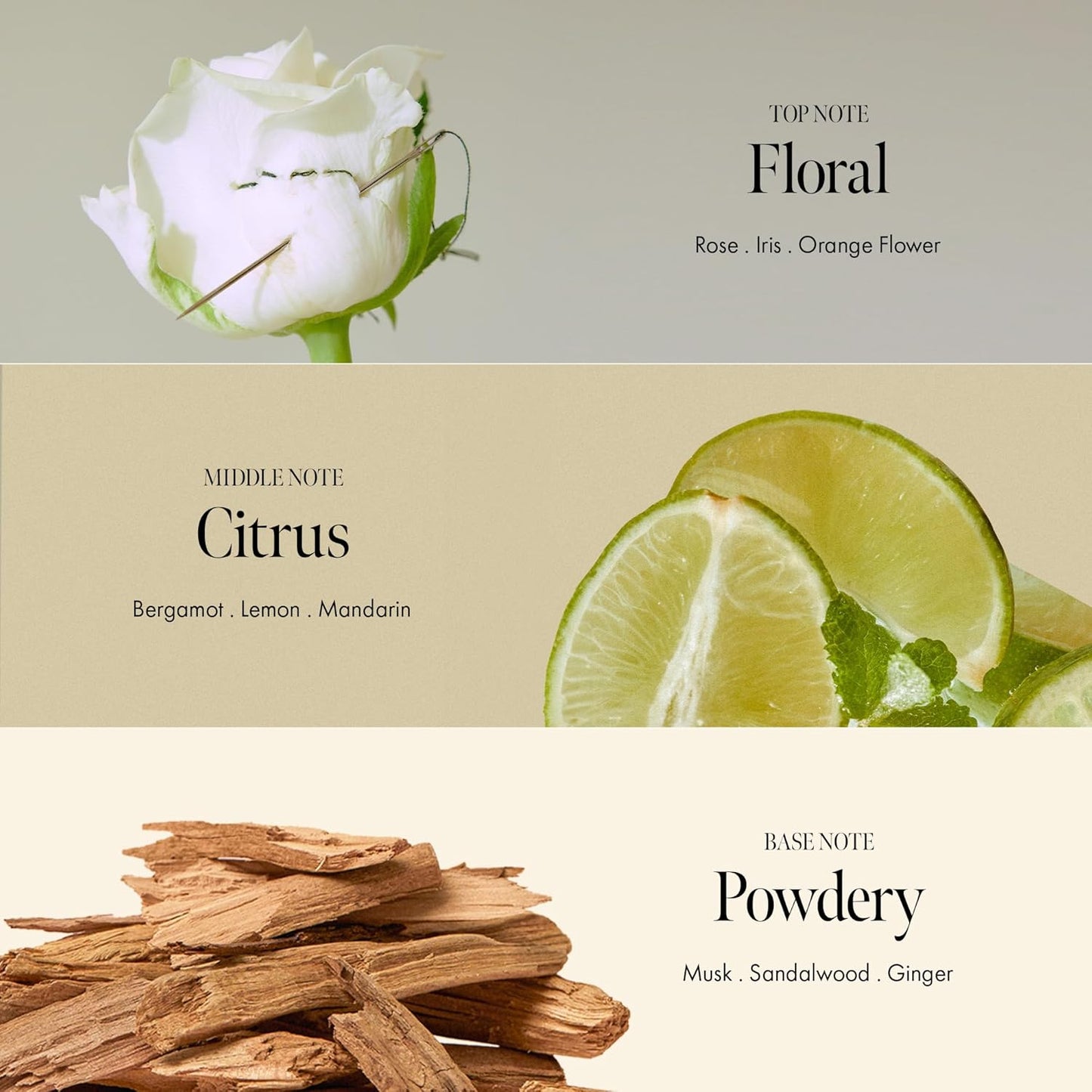 Rosy Night Repair Hair Essence with Damask Rose Extract, Rosehip Oil, Peptide Complex for Dry, Damaged, Frizzy Hair - Musky Floral Scent, Vegan, Paraben-Free 50ml / 1.69 fl. Oz