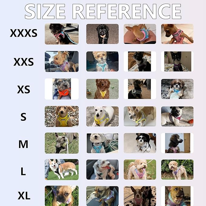 AIITLE Escape Proof Dog Harness - Image 2