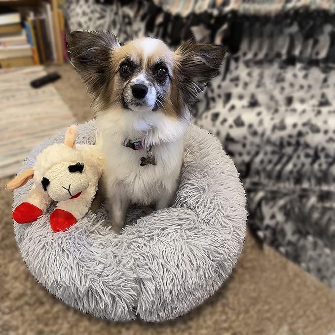 Calming Donut Dogs Beds for Small Dogs Washable, 19inch Fluffy Round Puppy Bed - Image 3