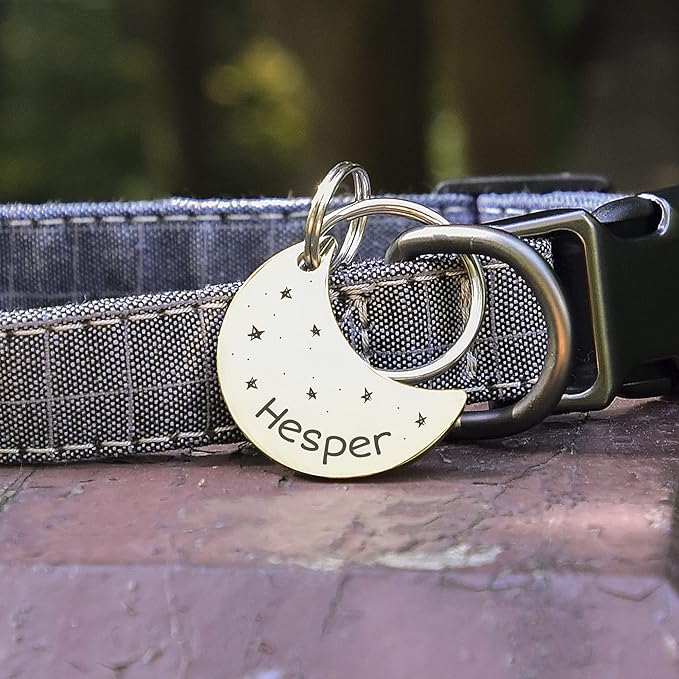 Anavia Small Size Dog Cat ID Tags, Small/XS Personalized Color Plated Stainless - Image 3