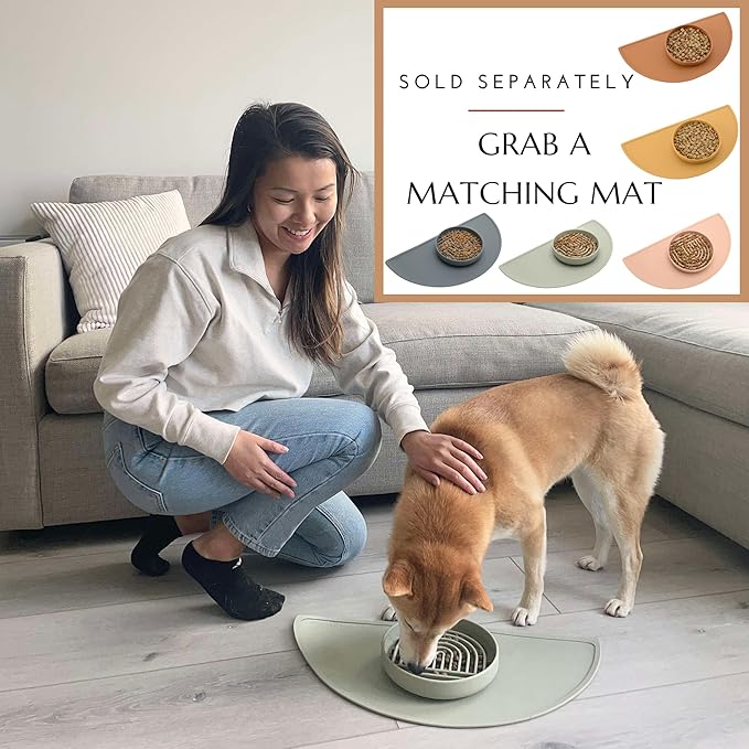 Should We Go? Slow Feeder for Dogs & Cats, The Slowdown Bowl Silicone Slow Eating Mealtime Solution with Modern Lick Mat Design, Reduces Gulping, Fits 1 Cup, 6” Across x 1.25” Tall, Small-Honey