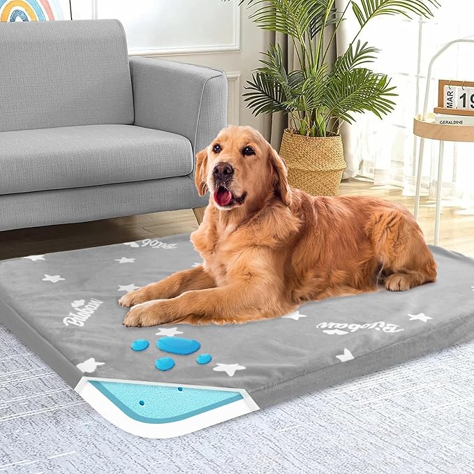 Waterproof Dog Bed for Large Dog, Memory Foam Orthopedic Dogs Beds & Furniture by Bilobanbabybedding