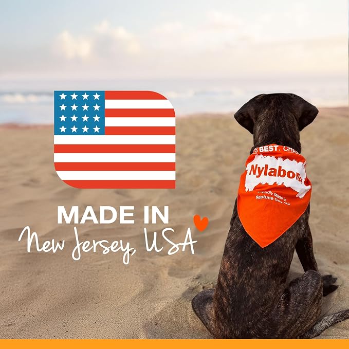Nylabone Healthy Edibles Natural Dog Chews, Long Lasting Bones - Image 11