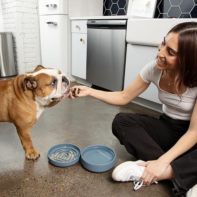 Should We Go? Slow Feeder for Dogs & Puppies, The Slowdown Bowl Silicone Slow Eating, Modern Lick Mat Design, Reduces Gulping, Fits 2 Cups, 7.5” Across x 1.5” Tall, Mealtime Challenge, Medium-Charcoal