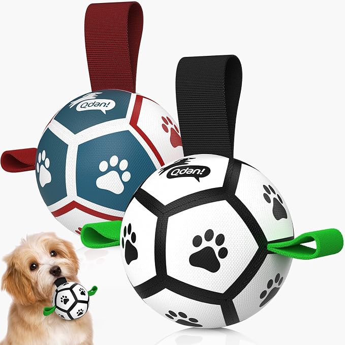 QDAN 2 Pack Small Dog Toys, 3.5 Inch Puppy Balls, Dog Balls by QDAN
