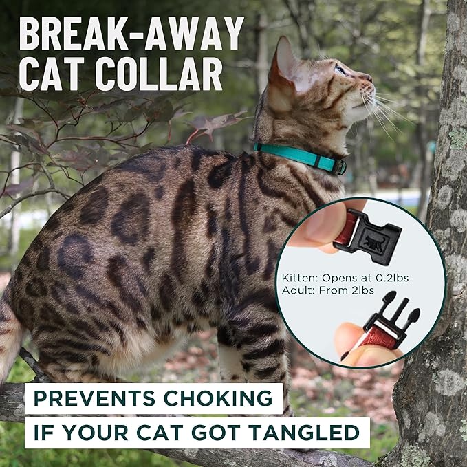 OutdoorBengal Blue Cat Collar Breakaway - Image 2