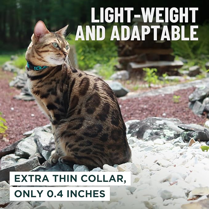 OutdoorBengal Pink Cat Collar Breakaway - Image 6