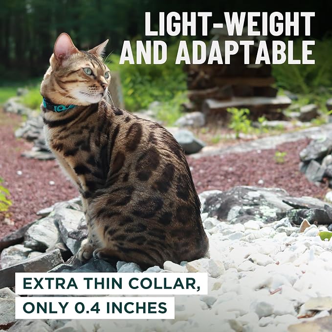 OutdoorBengal Black Cat Collar Breakaway, Soft Padding - Image 6