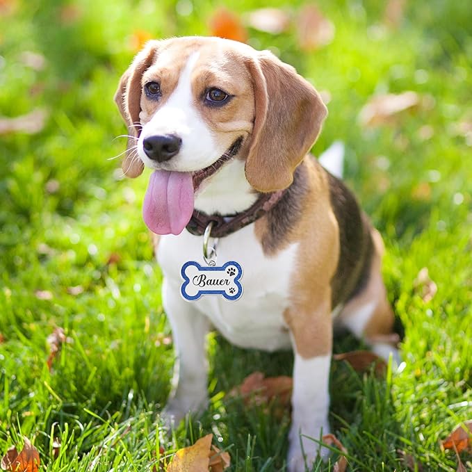 Dog Tags Personalized for Pets Dog Name Tags Personalized Dog Tag Engraved - Image 5