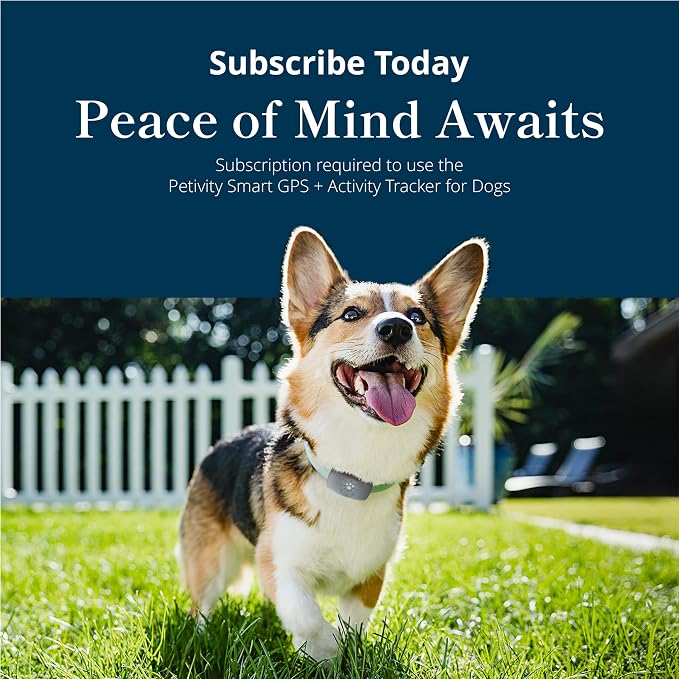 Petivity Smart GPS and Activity Pet Tracker - Image 10