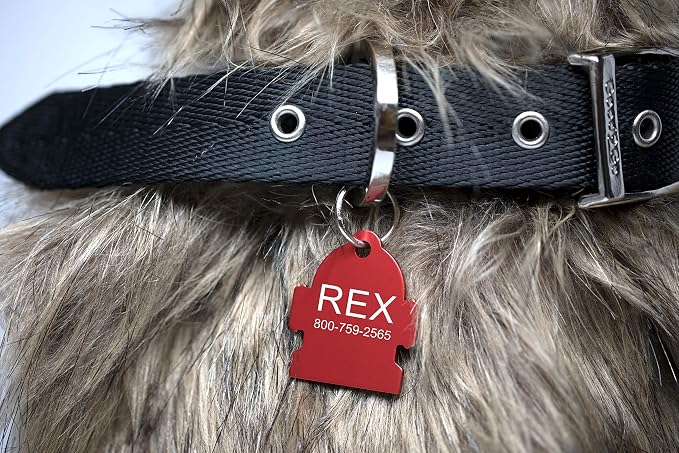 Providence Engraving Pet ID Tags in 8 Shapes, 9 Colors, and Two Sizes - Image 3