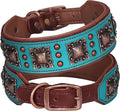 PET ARTIST Upgrade Padded Leather Dog Collar, 2 inch Wide Genuine Leather Dog by PETARTIST