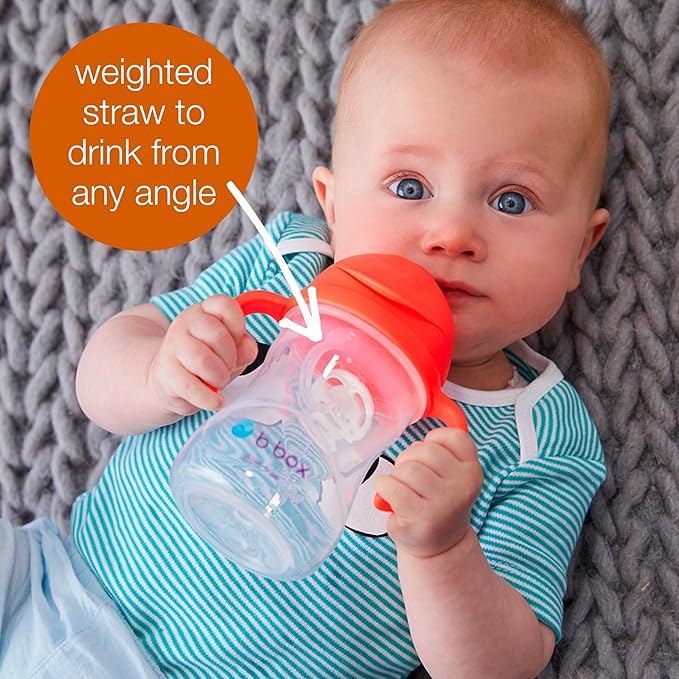 b.box Sippy Cup with Weighted Straw. Drink from Any Angle, Leak Proof, Spill Proof, Easy Grip. BPA Free, Dishwasher Safe. for Babies 6m+ to Toddlers (Orange Zing, 8oz)