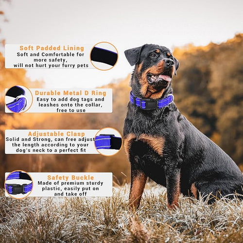 2 Pack Reflective Dog Collar - Image 2