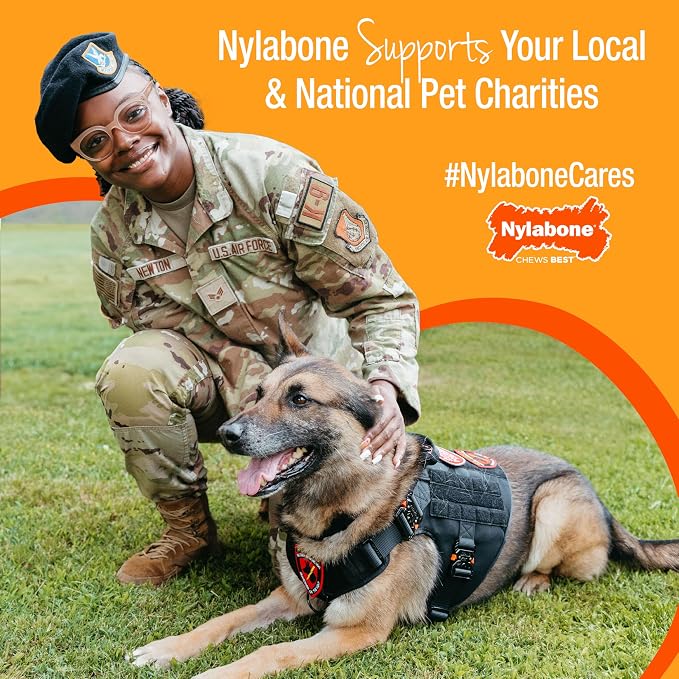 Nylabone Healthy Edibles Natural Dog Chews Long Lasting Bacon Flavor Treats - Image 10