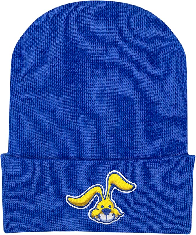 College Baby NCAA Officially Licensed Infant Knit Cap - Embroidered Beanies for Preemies & Newborns (0-3 Months)