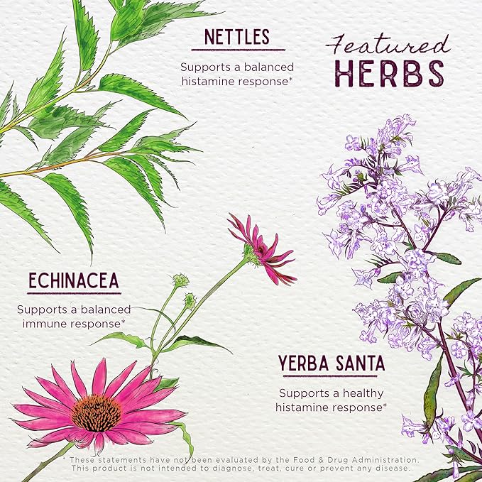 WishGarden Herbs Kick-It Allergy for Kids - Plant-Based Non-Drowsy Herbal Allergy Supplement with Nettle Leaf, Echinacea & Yerba Santa, Supports Healthy Histamine Response to Seasonal Irritants, 2oz