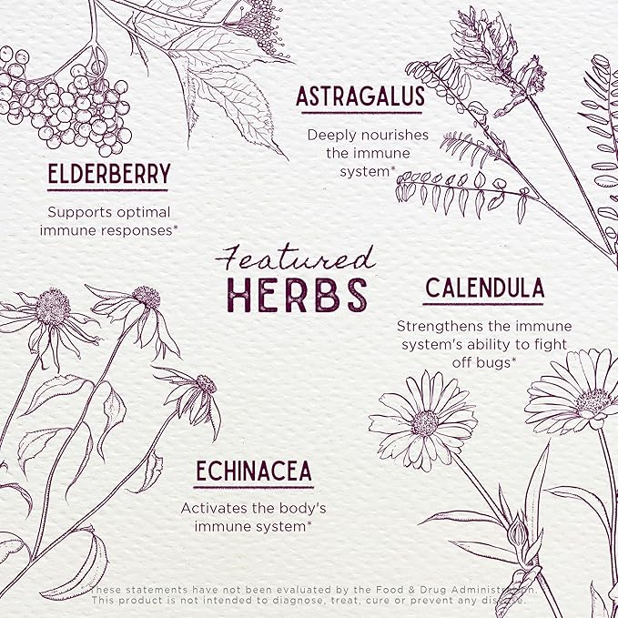 WishGarden Herbs Daily Immune for Kids - Daily Immune Support Formula for Children, Herbal Immune Defense & Immune System Booster with Black Elderberry & Echinacea, Kids Immune Support Supplement, 2oz