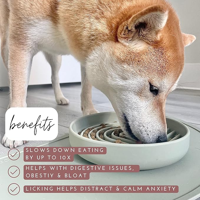 Should We Go? Slow Feeder for Dogs & Puppies, The Slowdown Bowl Silicone Slow Eating, Modern Lick Mat Design, Reduces Gulping, Fits 2 Cups, 7.5” Across x 1.5” Tall, Mealtime Challenge, Medium-Tan